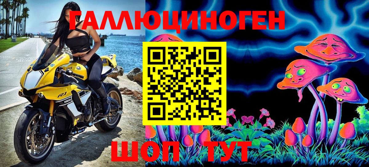 Волжск  Псилоцибиновые грибы MAGIC MUSHROOMS  Вход с VPN 