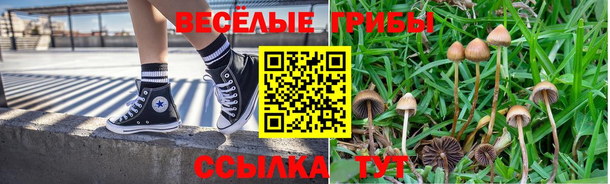 Псилоцибиновые грибы Psilocybine cubensis Волжск